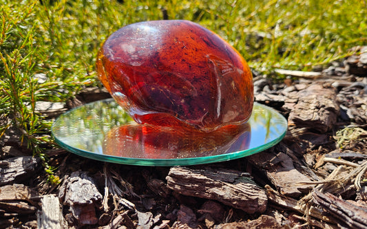 Polished Kauri Gum, Rounded dark