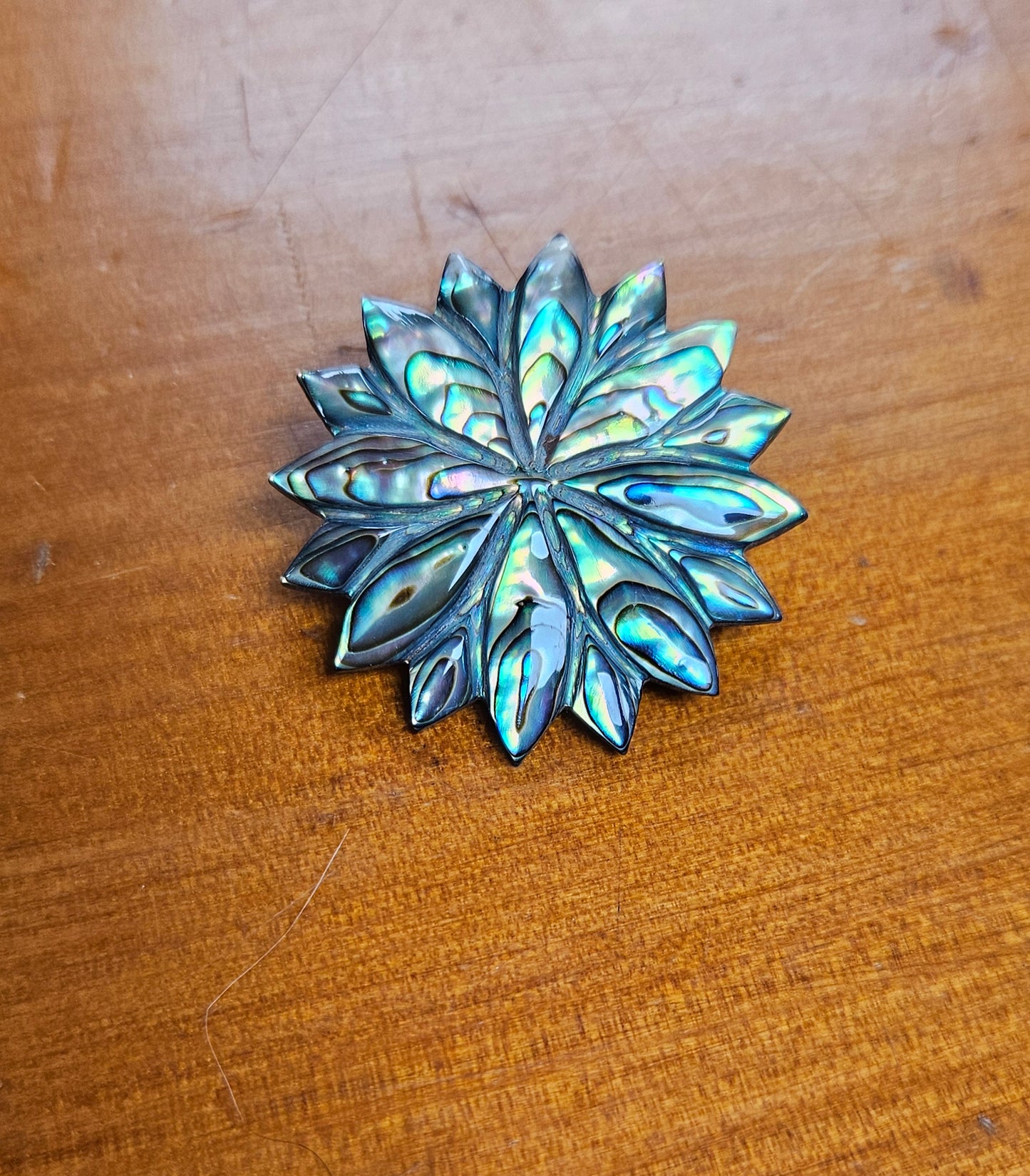 Paua Brooch