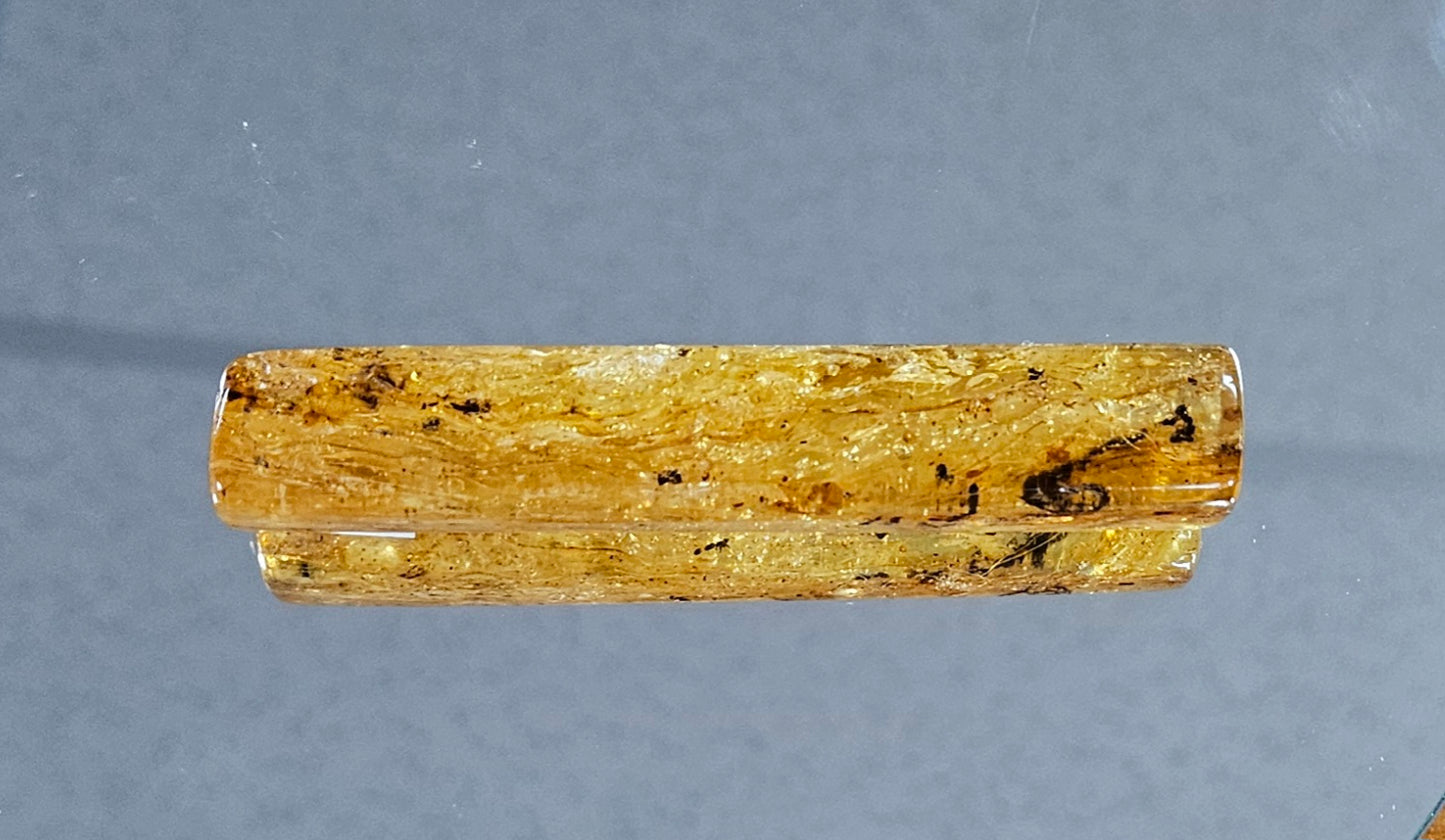 Polished Kauri Gum Featuring Captured Ants