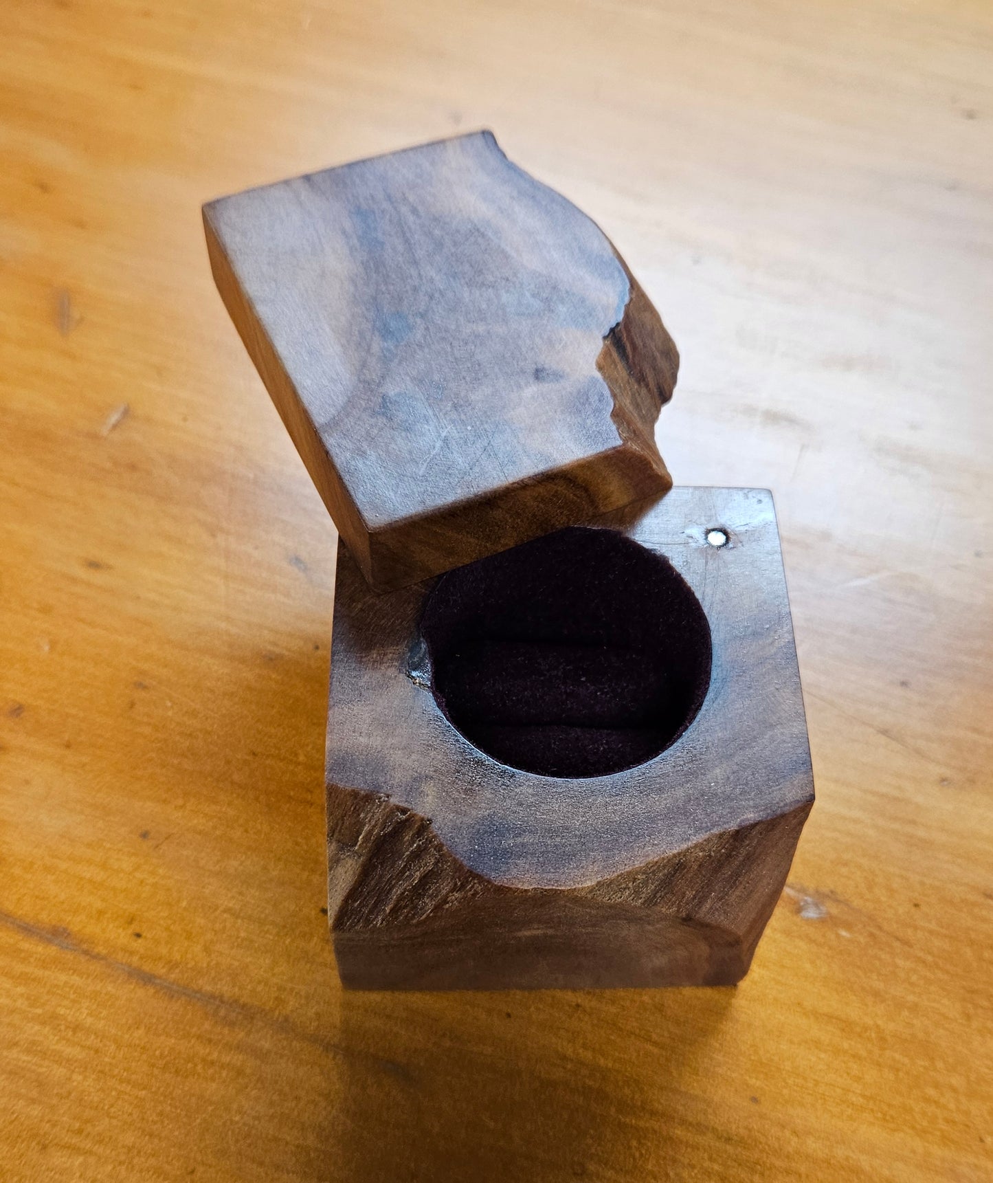Swamp Kauri Single Ring Box / Proposal Box