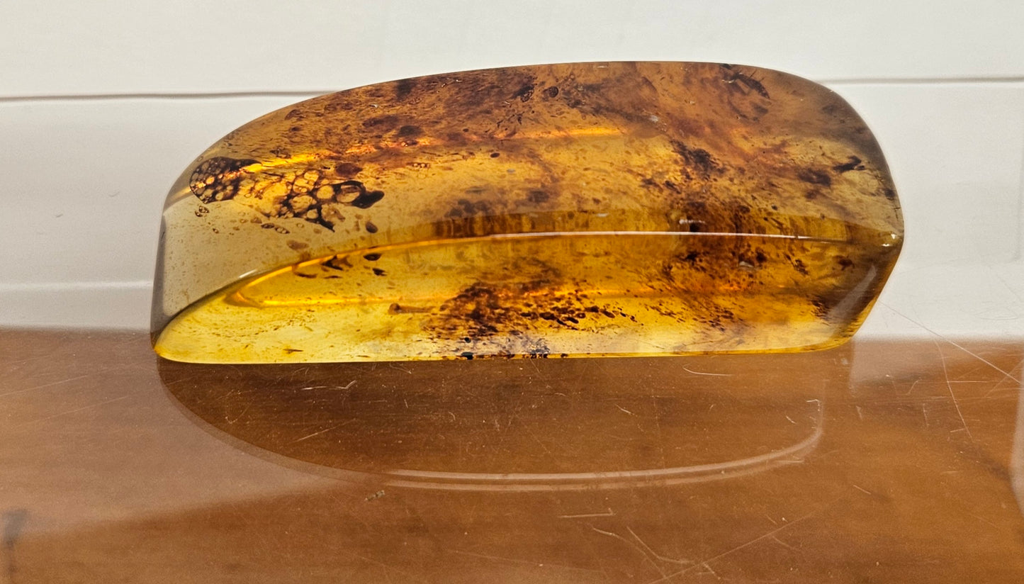 Kauri Gum Rounded Wedge Shape