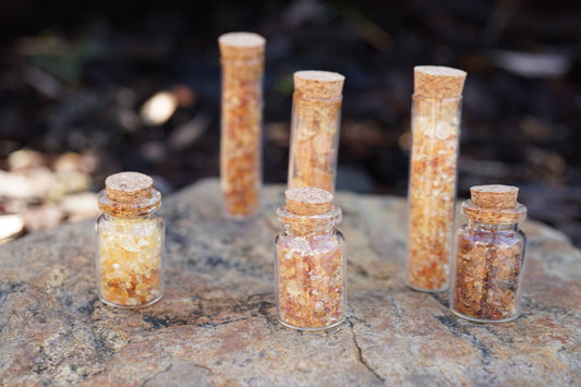 Kauri Gum Chip Vials