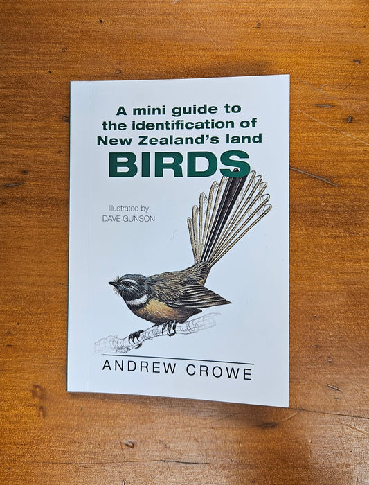 A Mini Guide To New Zealand Birds