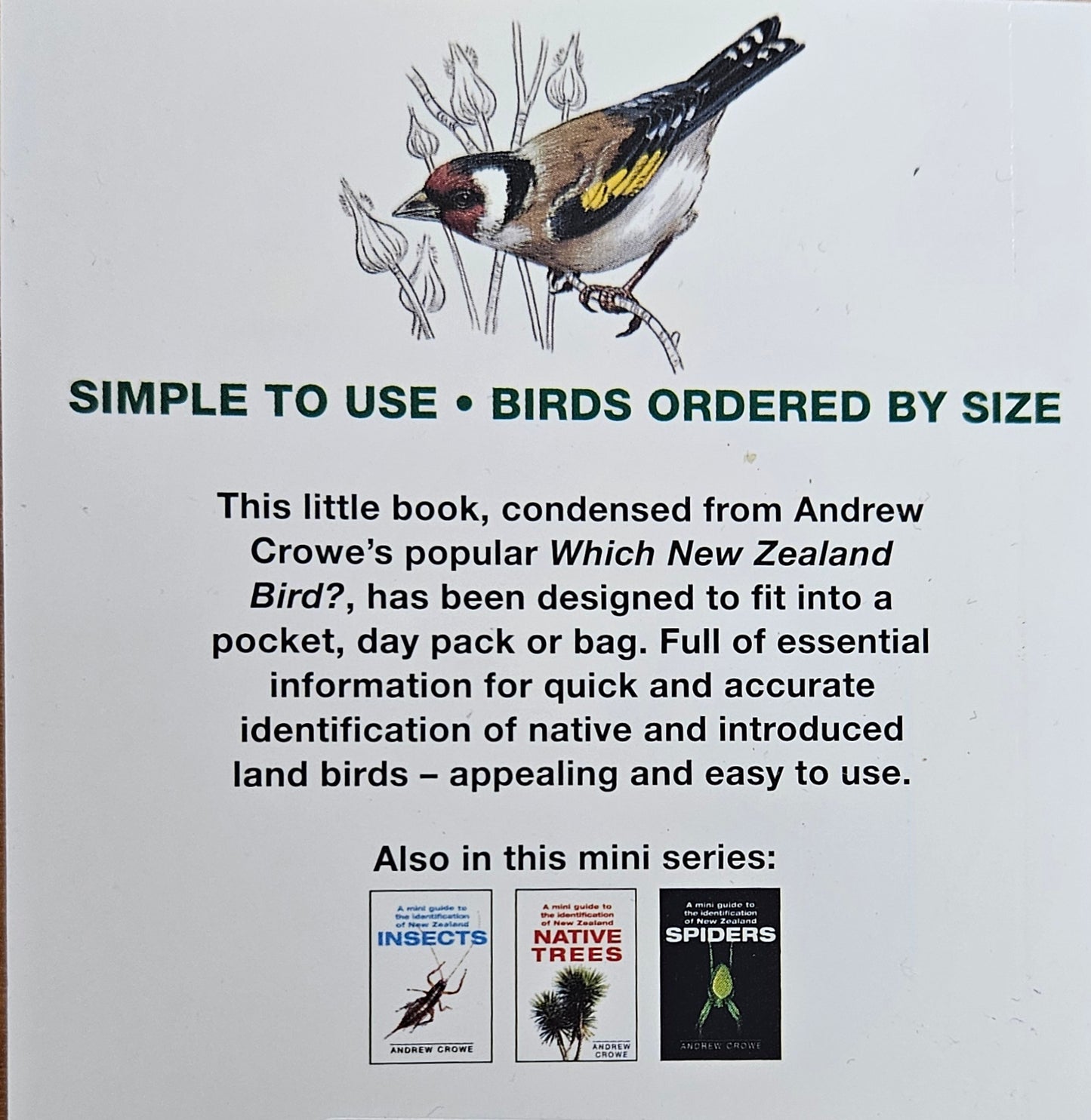 A Mini Guide To New Zealand Birds