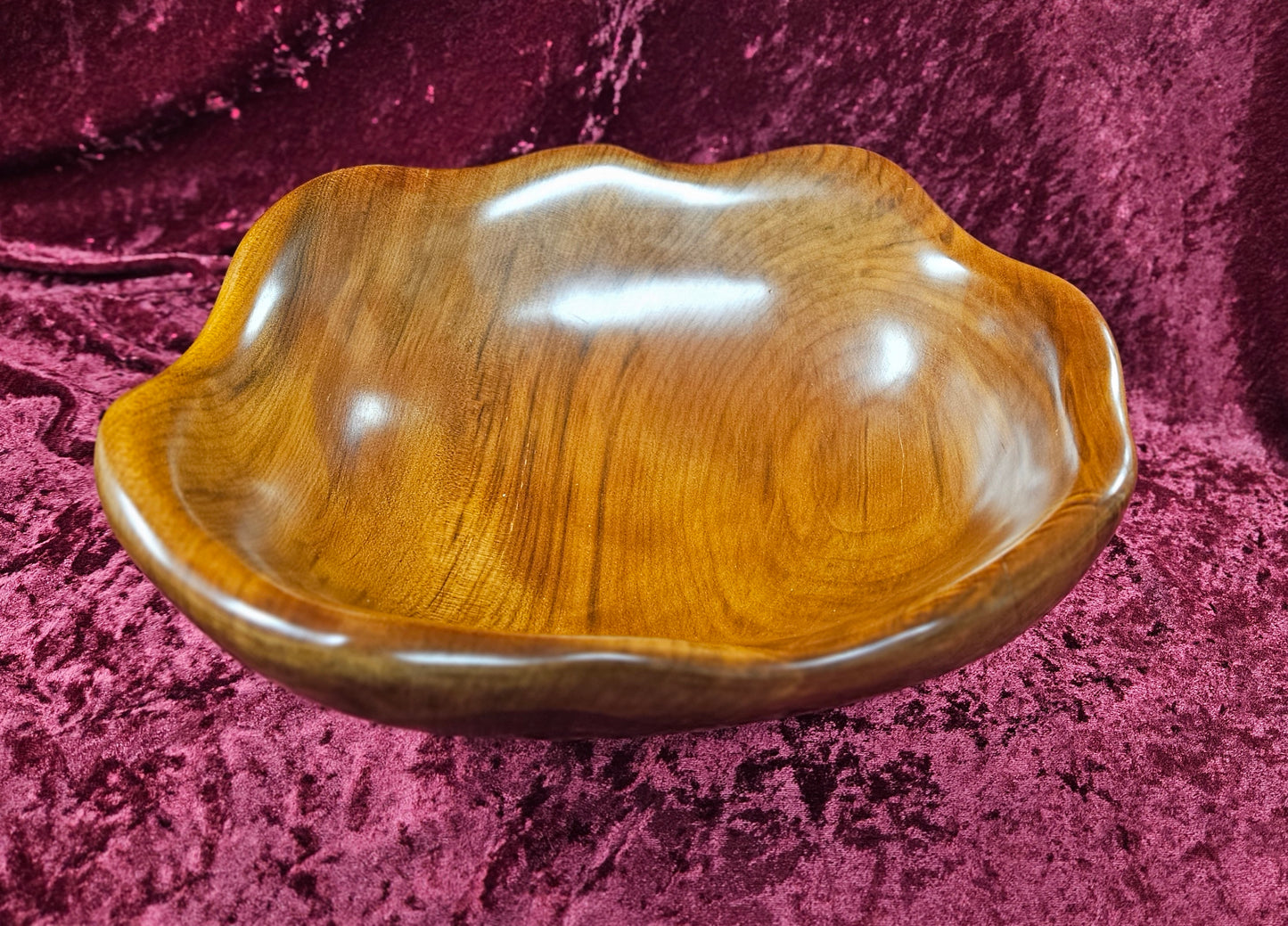 Swamp Kauri Dish