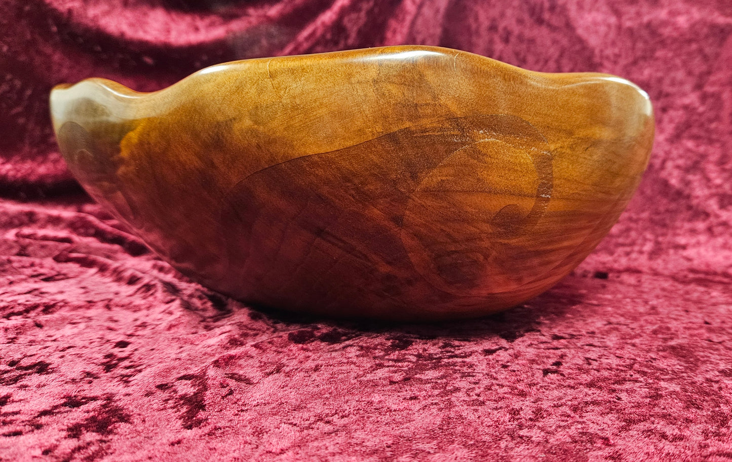 Swamp Kauri Dish