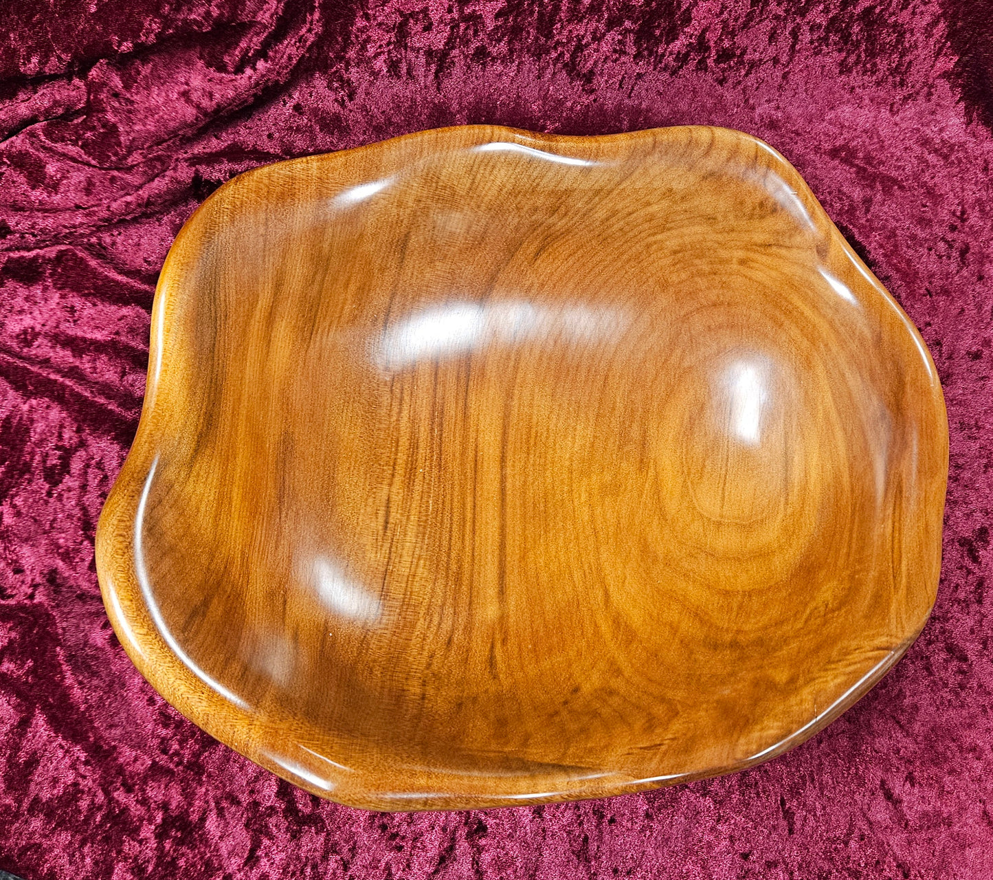 Swamp Kauri Dish