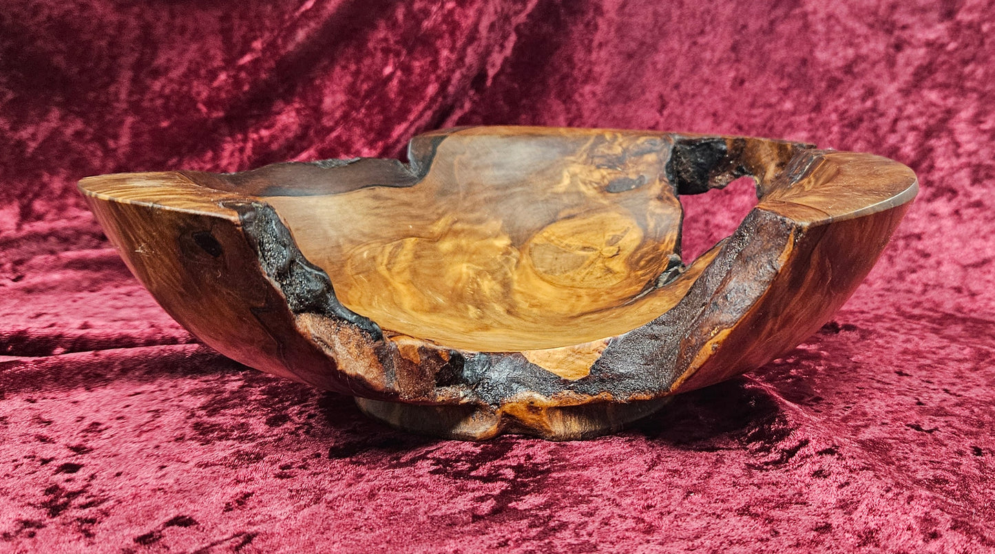 Swamp Kauri Decorative Bowl