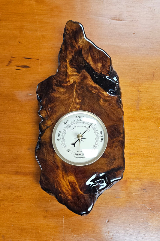 Swamp Kauri Barometer