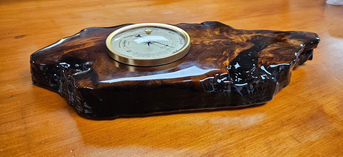 Swamp Kauri Barometer