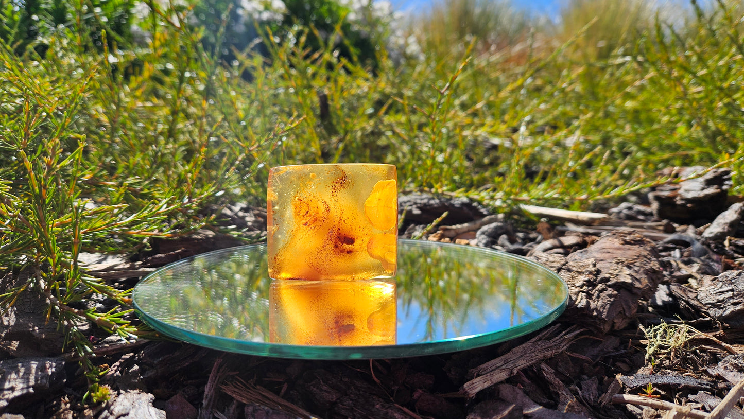 Polished Kauri Gum, rectangle piece