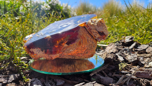 Polished Kauri Gum, Large Mixed polished and Raw