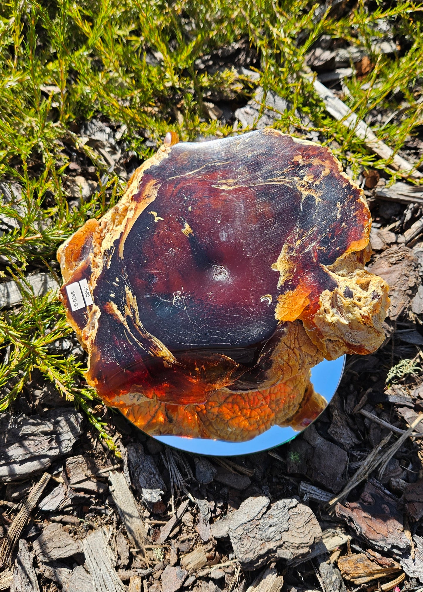 Polished Kauri Gum, Large Mixed polished and Raw