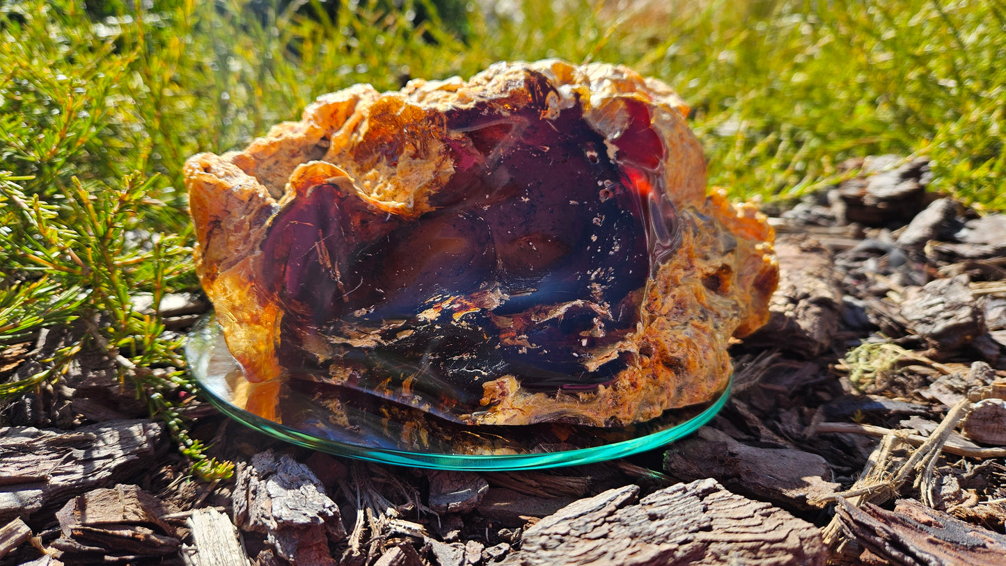 Polished Kauri Gum, Large Mixed polished and Raw