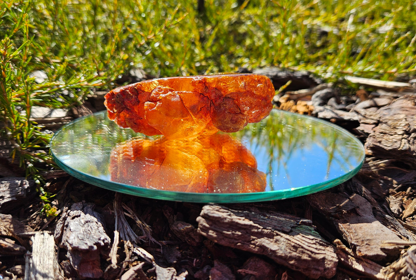 Polished Kauri Gum, smaller piece