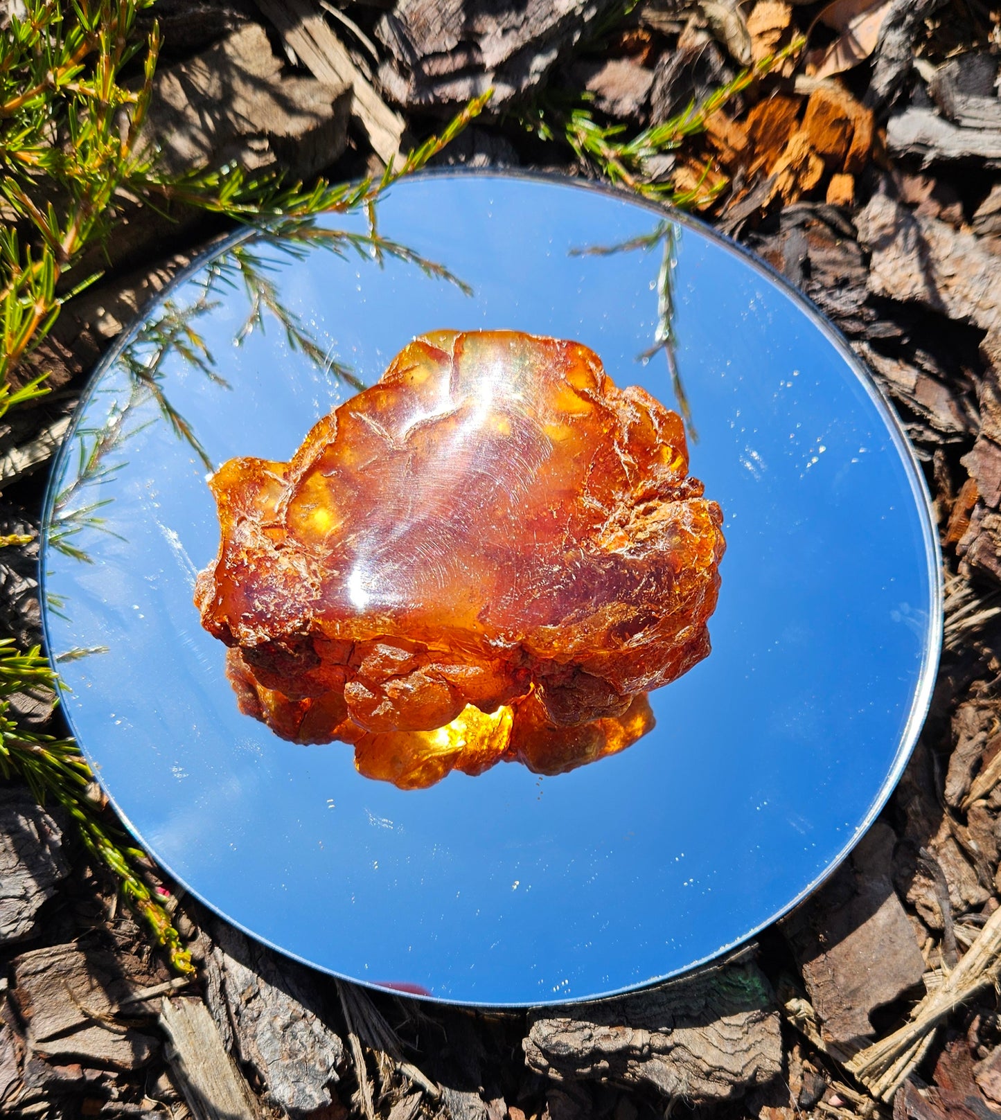 Polished Kauri Gum, smaller piece