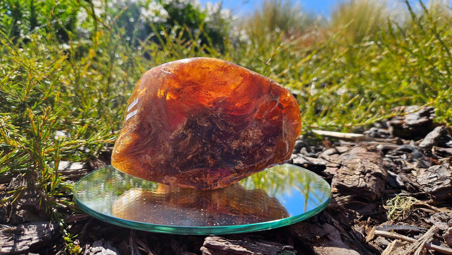 Polished Kauri Gum, Dark and light Rounded