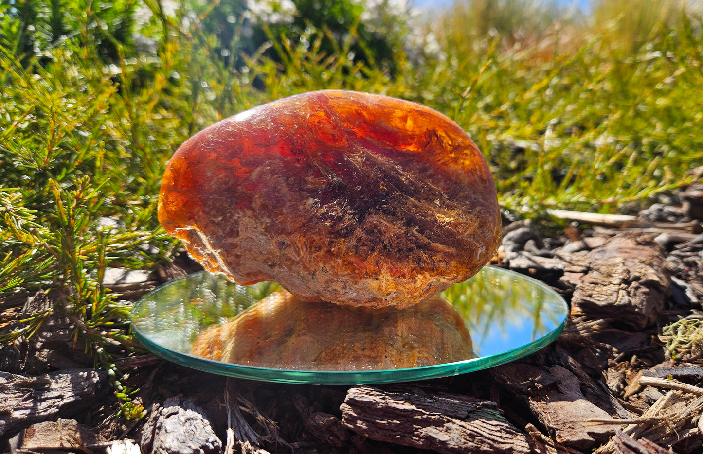 Polished Kauri Gum, Dark and light Rounded