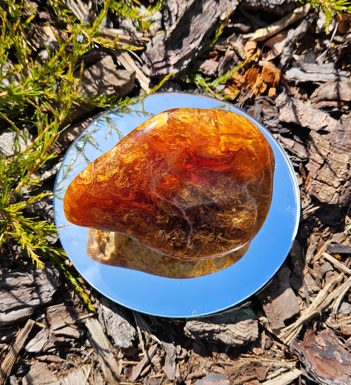 Polished Kauri Gum, Dark and light Rounded