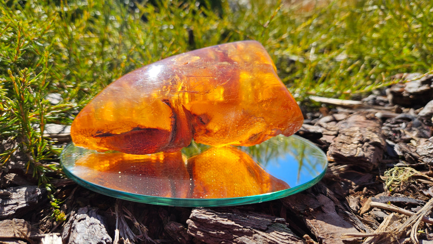 Polished Kauri Gum, Light coloured triangular shape