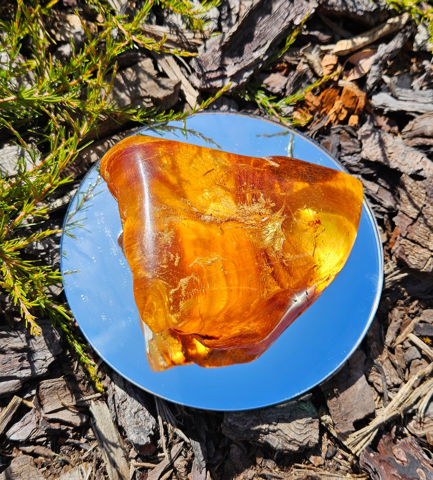 Polished Kauri Gum, Light coloured triangular shape