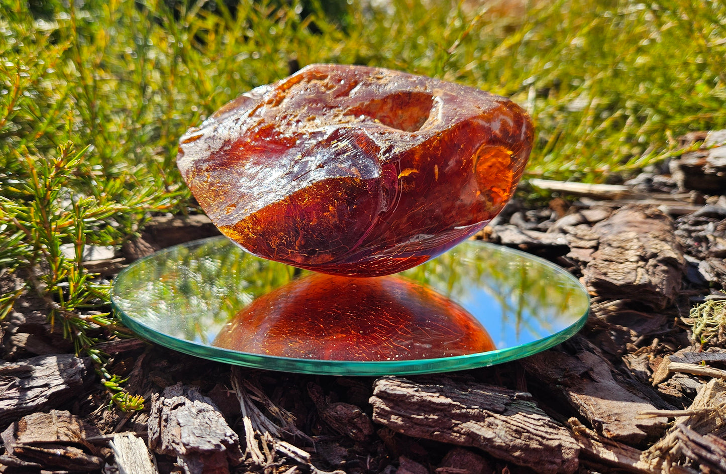 Polished Kauri Gum, Rounded dark