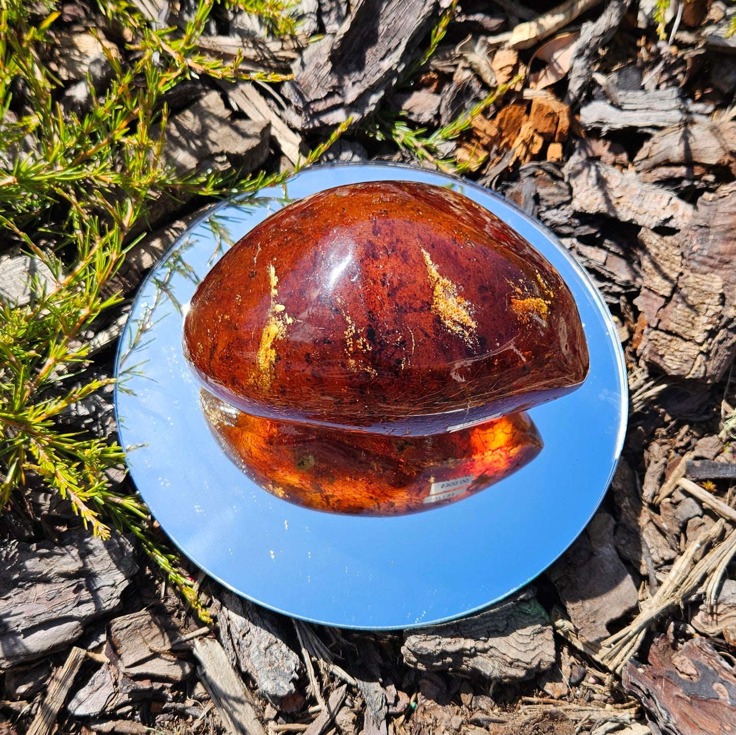 Polished Kauri Gum, Rounded dark