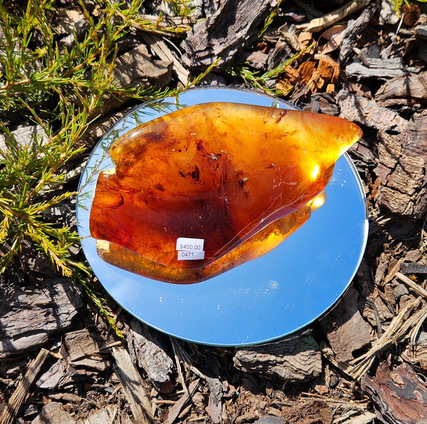 Polished Kauri gum,   long dark piece