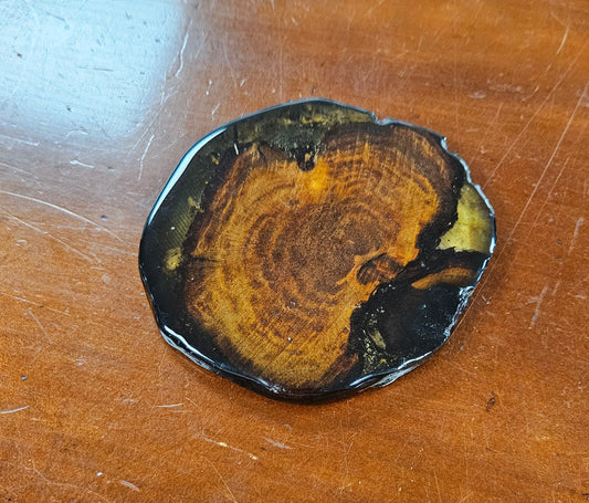 Swamp Kauri Coaster