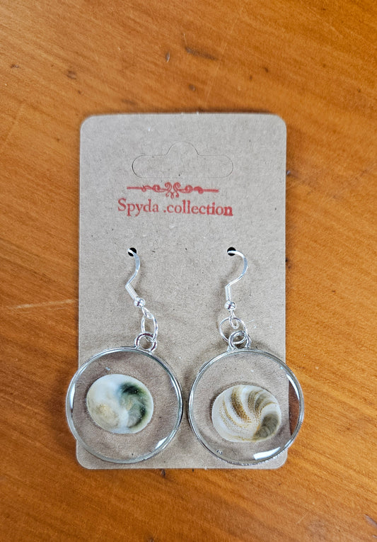 Cats Eyes Shell Earrings