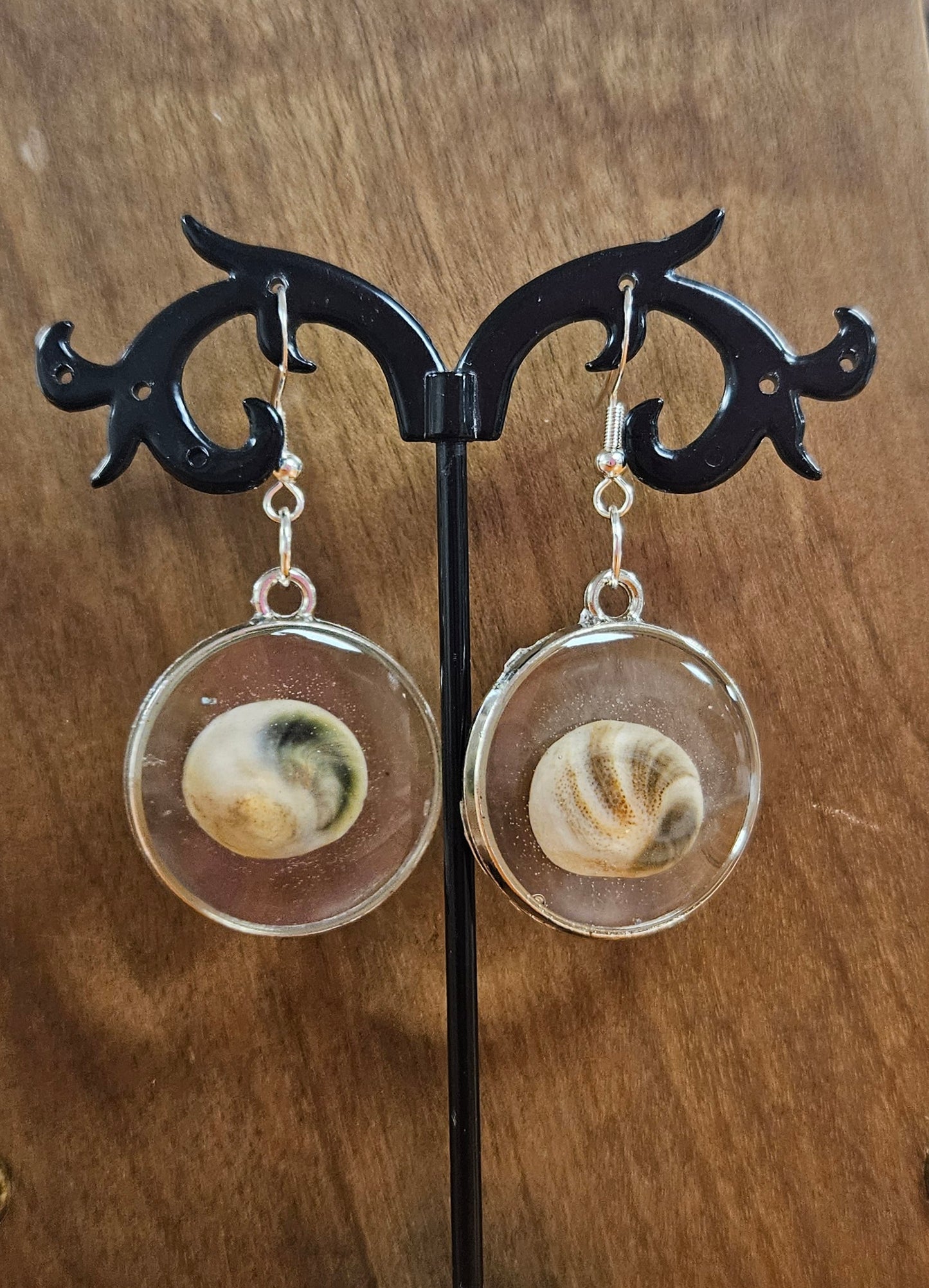 Cats Eyes Shell Earrings