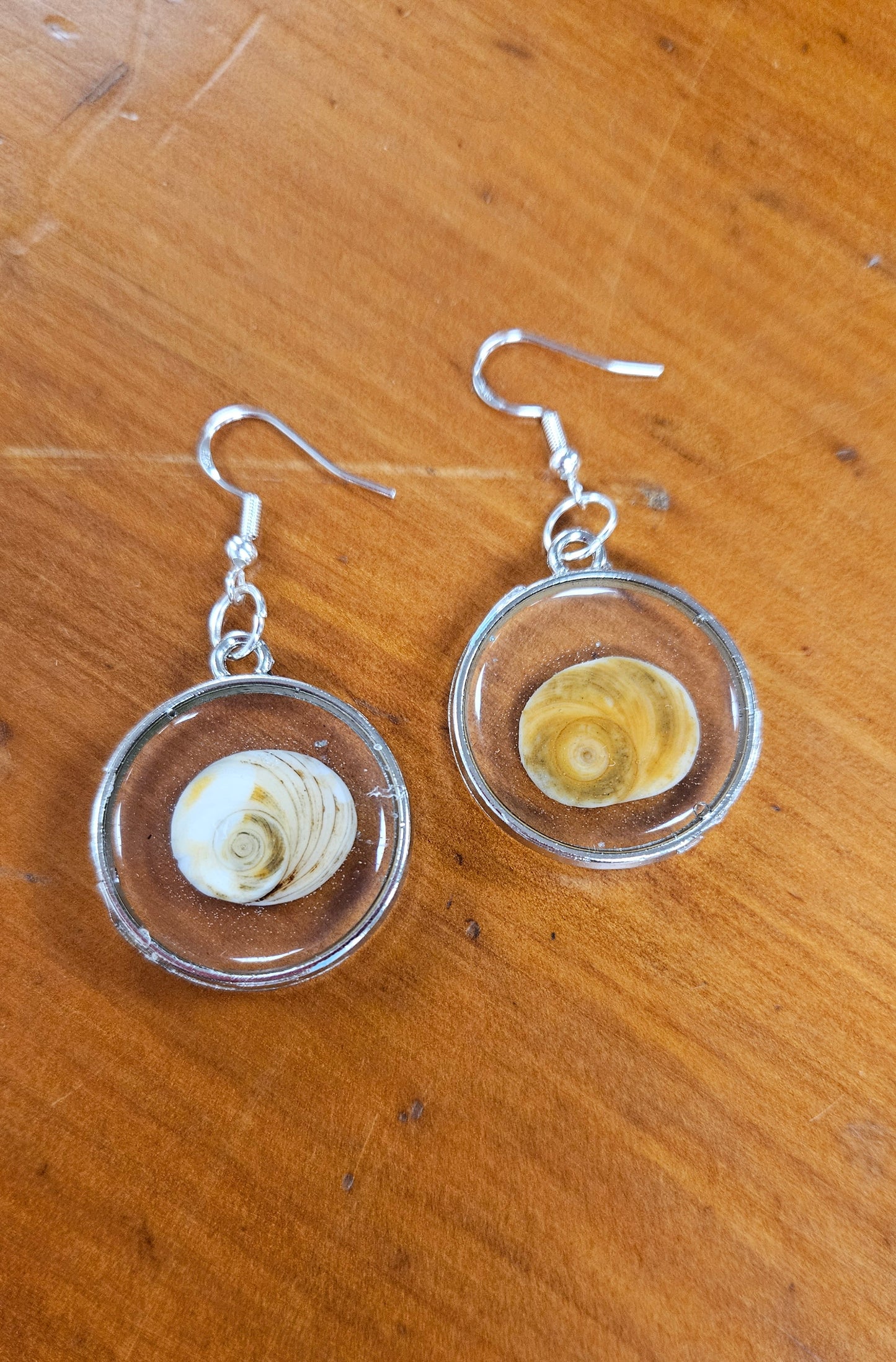 Cats Eyes Shell Earrings
