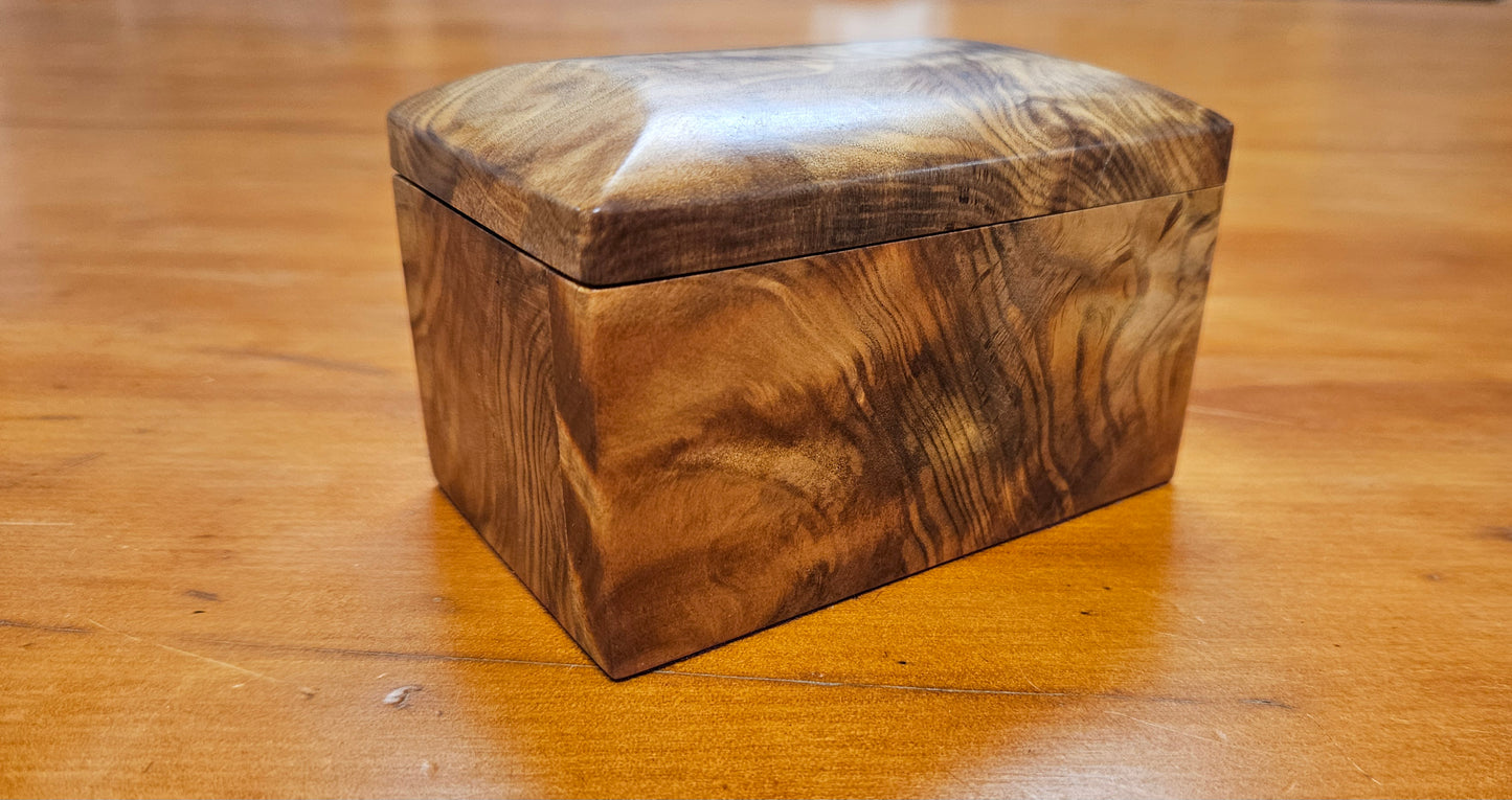 Swamp Kauri Medium Size Trinket Box