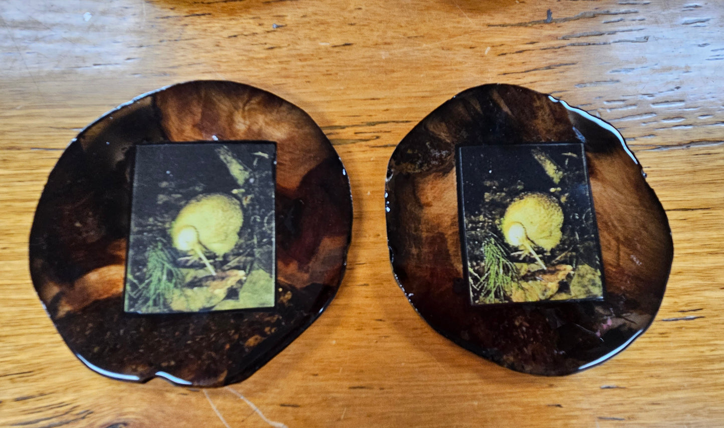Swamp Kauri Coasters With Photo Inset