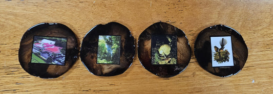 Swamp Kauri Coasters With Photo Inset