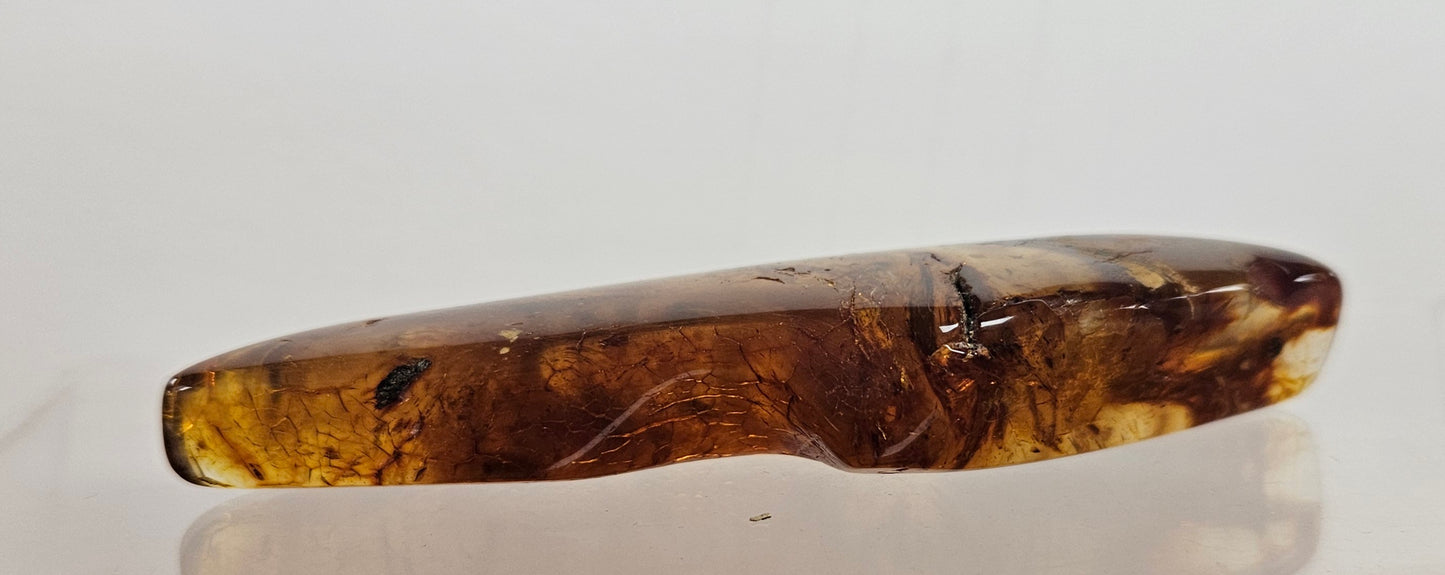 Dark Tone Pointed Kauri Gum