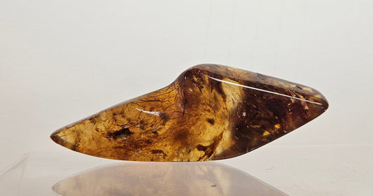 Dark Tone Pointed Kauri Gum