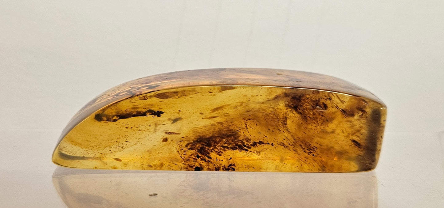 Kauri Gum Rounded Wedge Shape