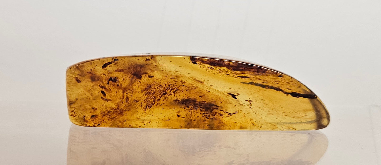 Kauri Gum Rounded Wedge Shape