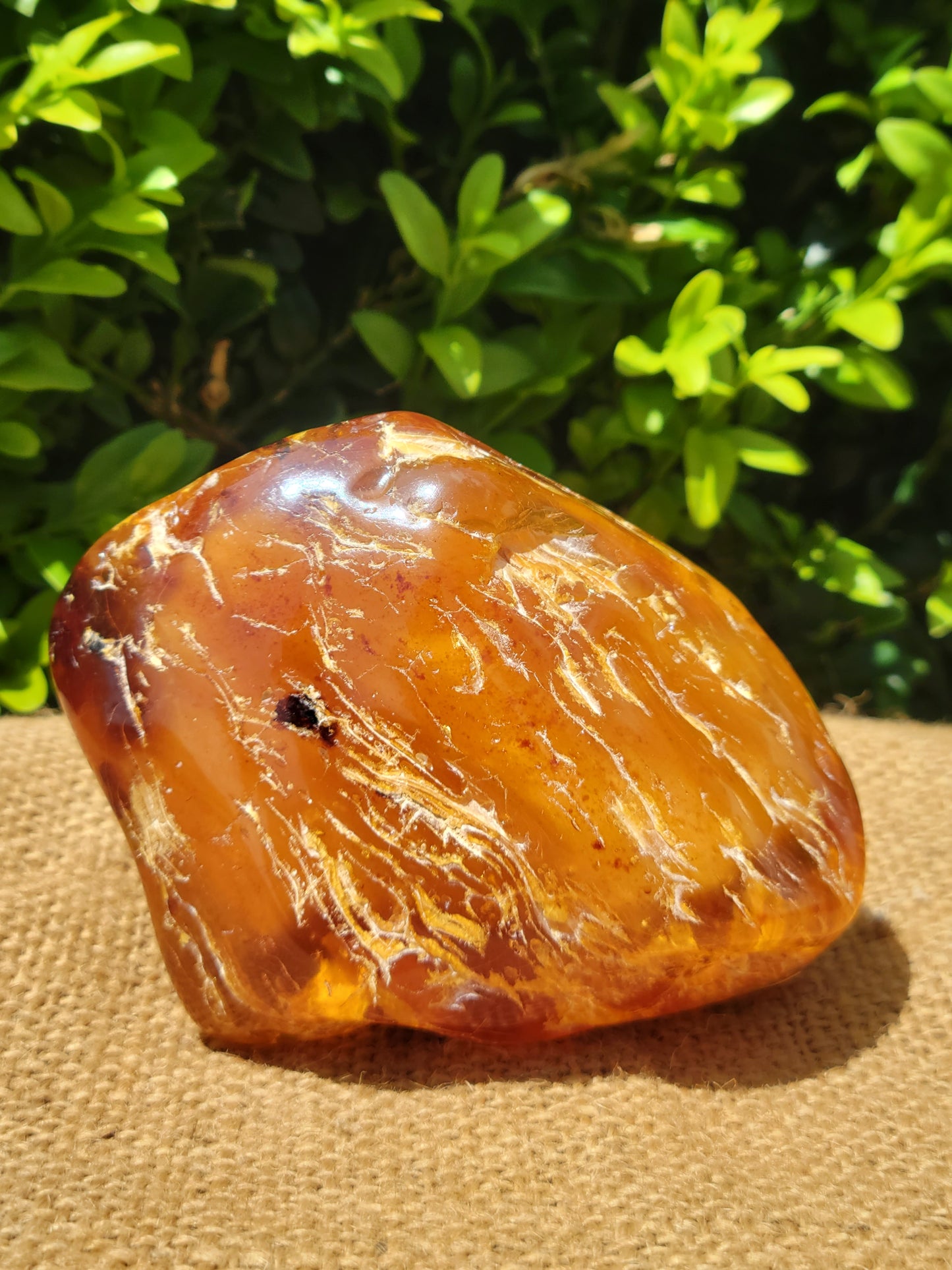 Polished Kauri Gum