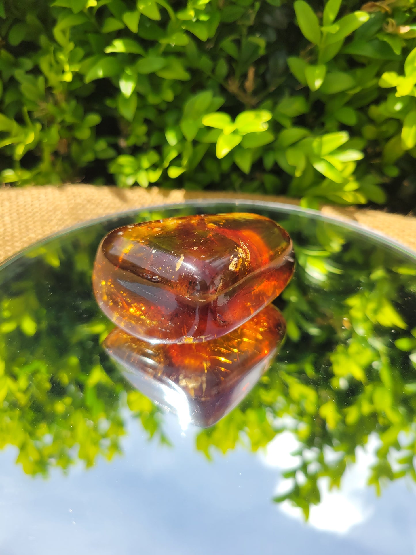 Polished Kauri Gum