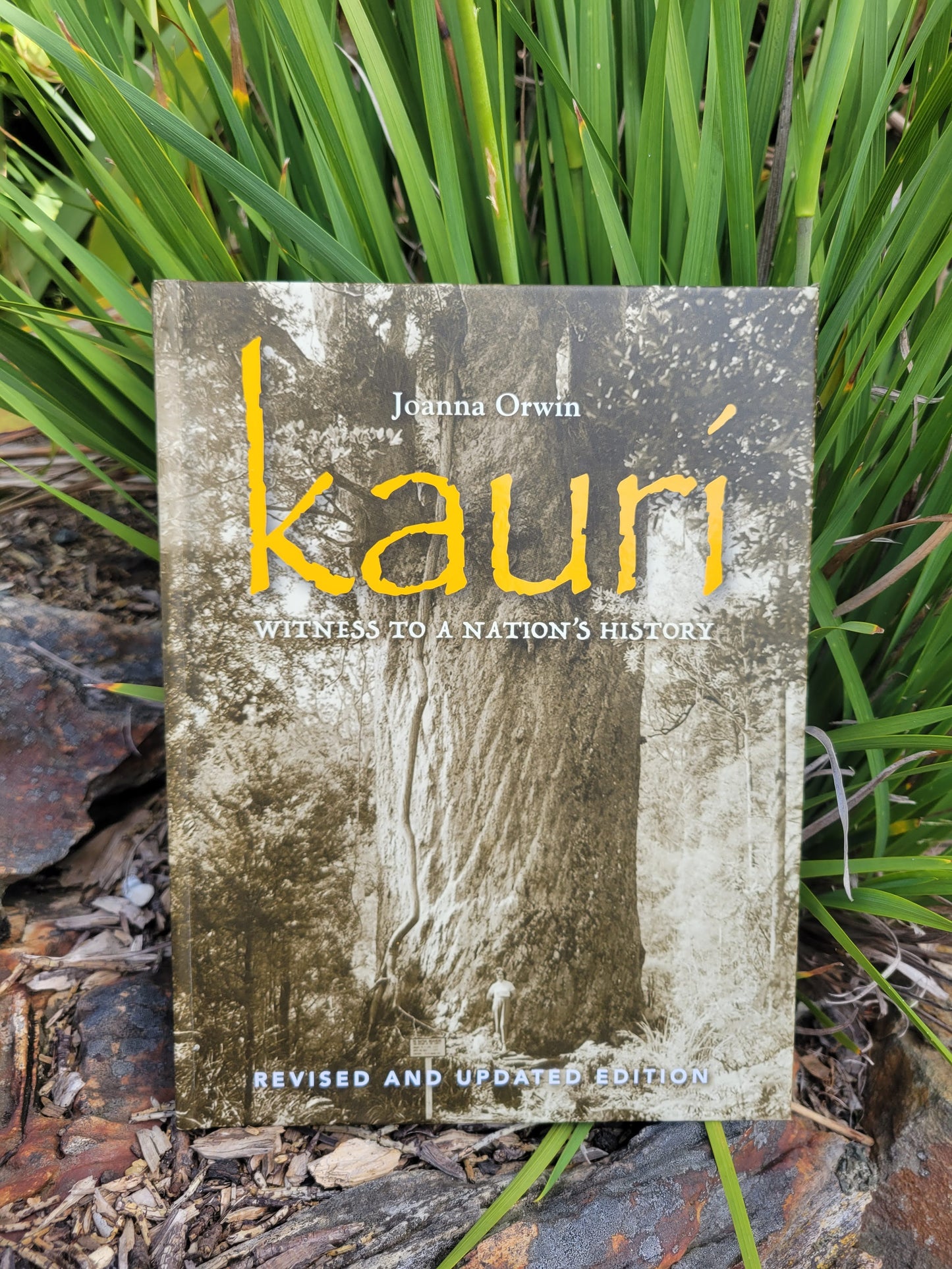 Kauri: Witness to a Nation's History